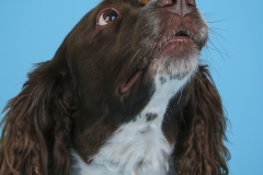 042-Murphy
